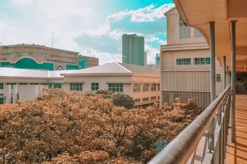 brown trees near white concrete building during daytime