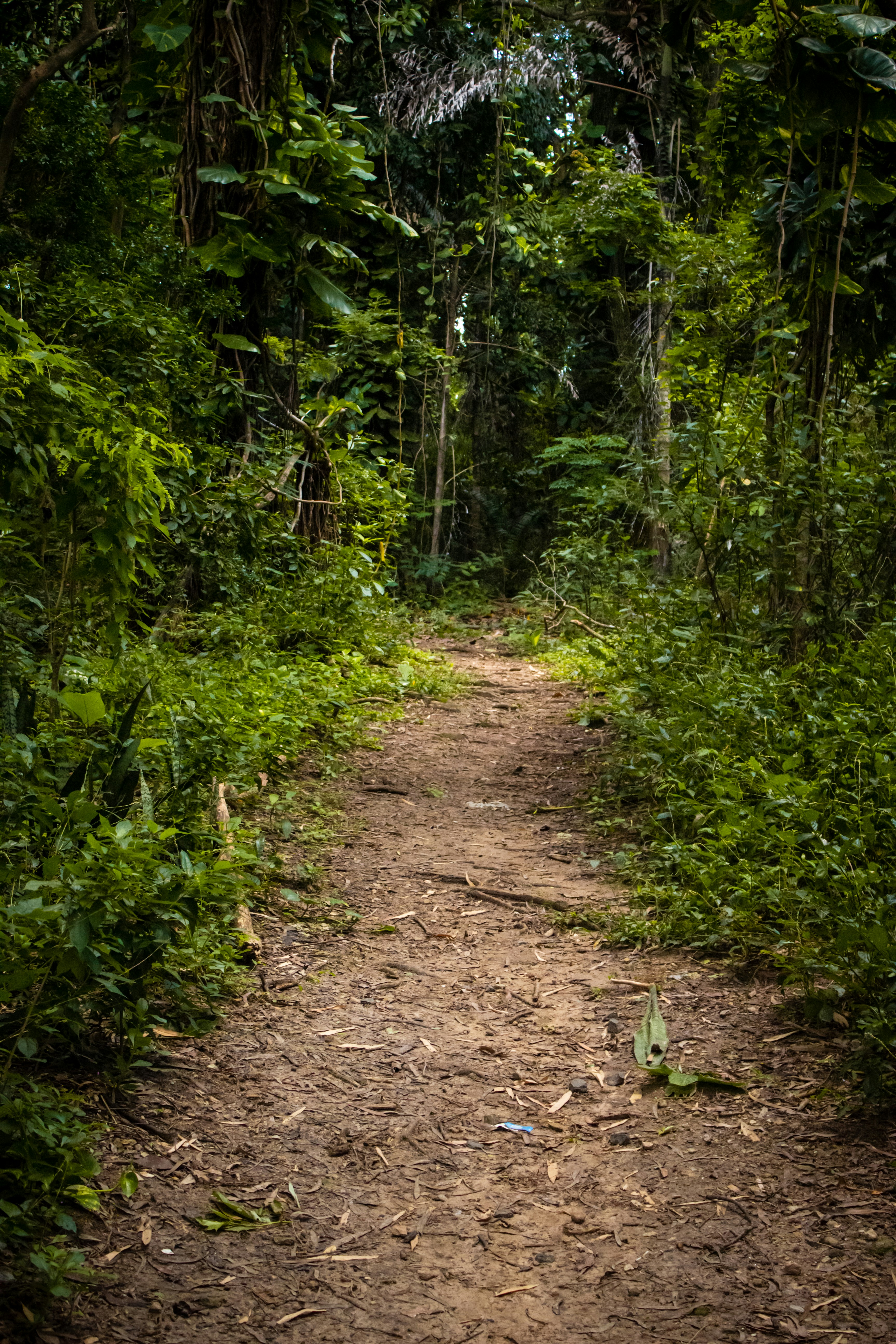 Photo by amywithacamera