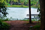 A peaceful park area with walking paths and benches overlooking the lake.