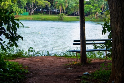 A peaceful park area with walking paths and benches overlooking the lake.