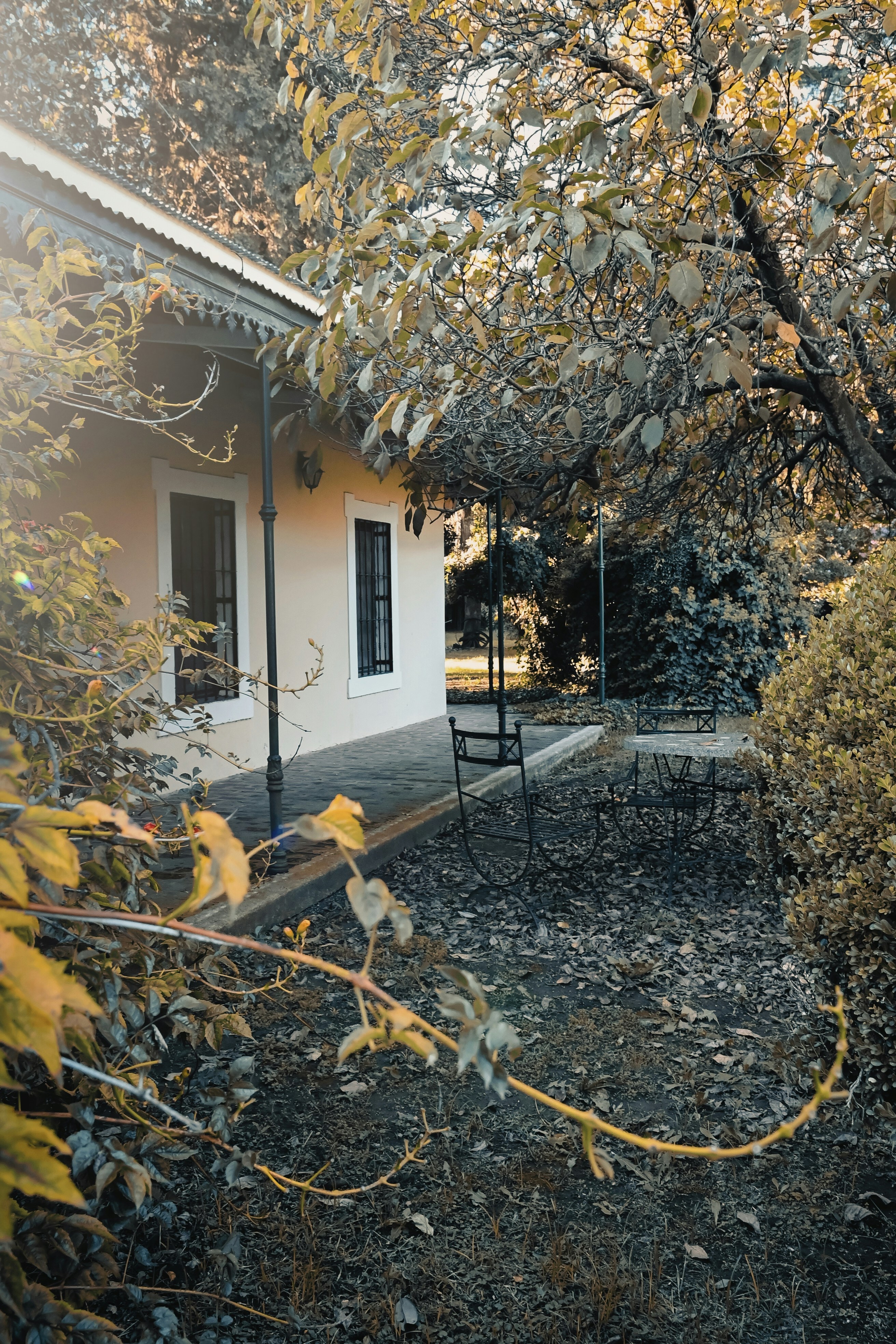 Photo by calamar_ete