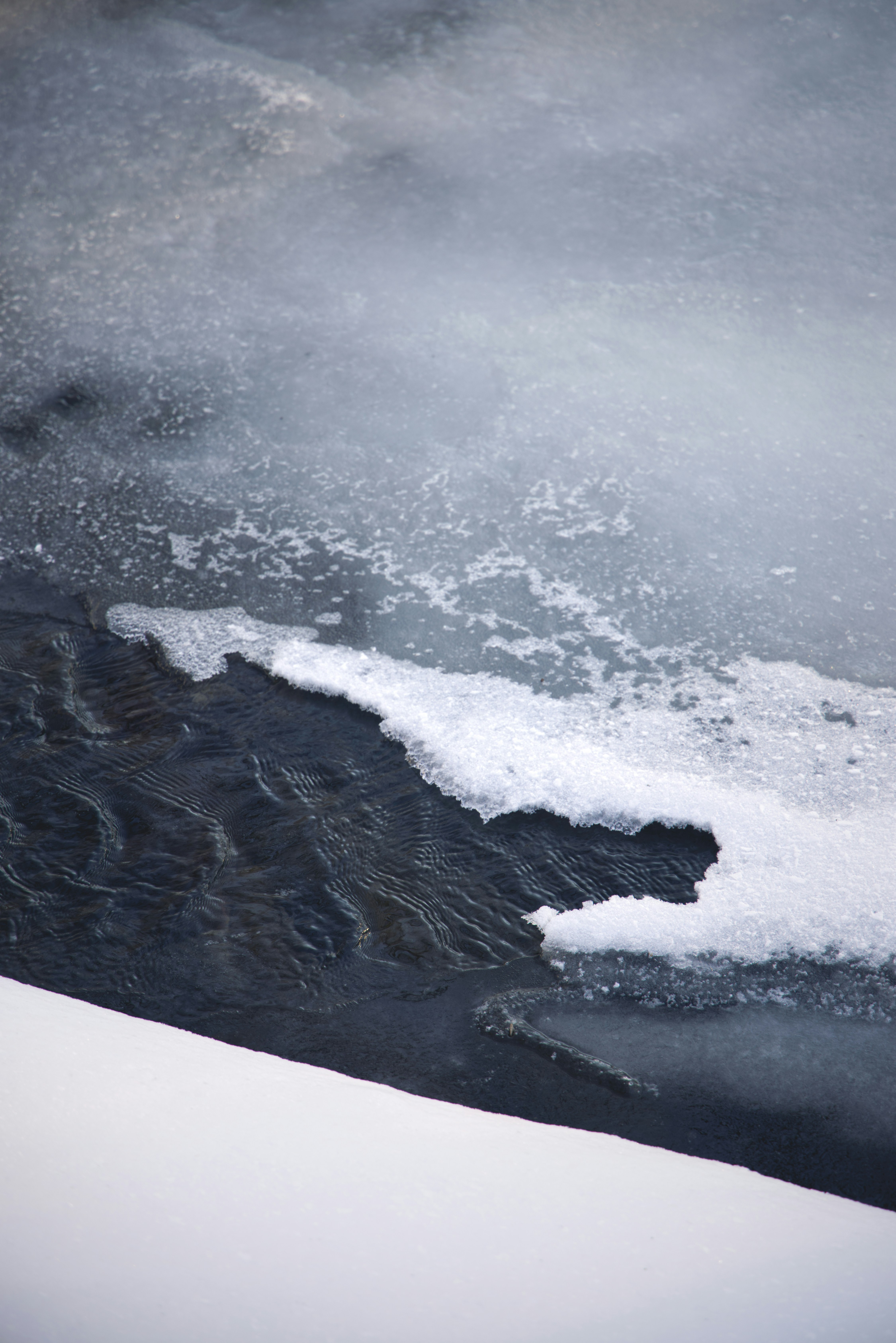 Photo by ldpeterson11