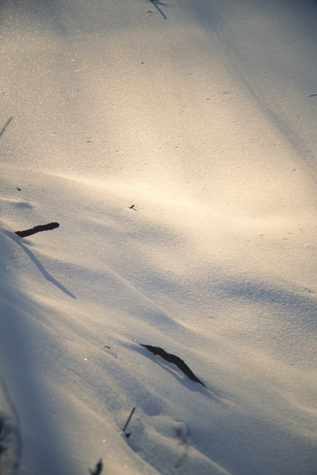 white sand with black shadow