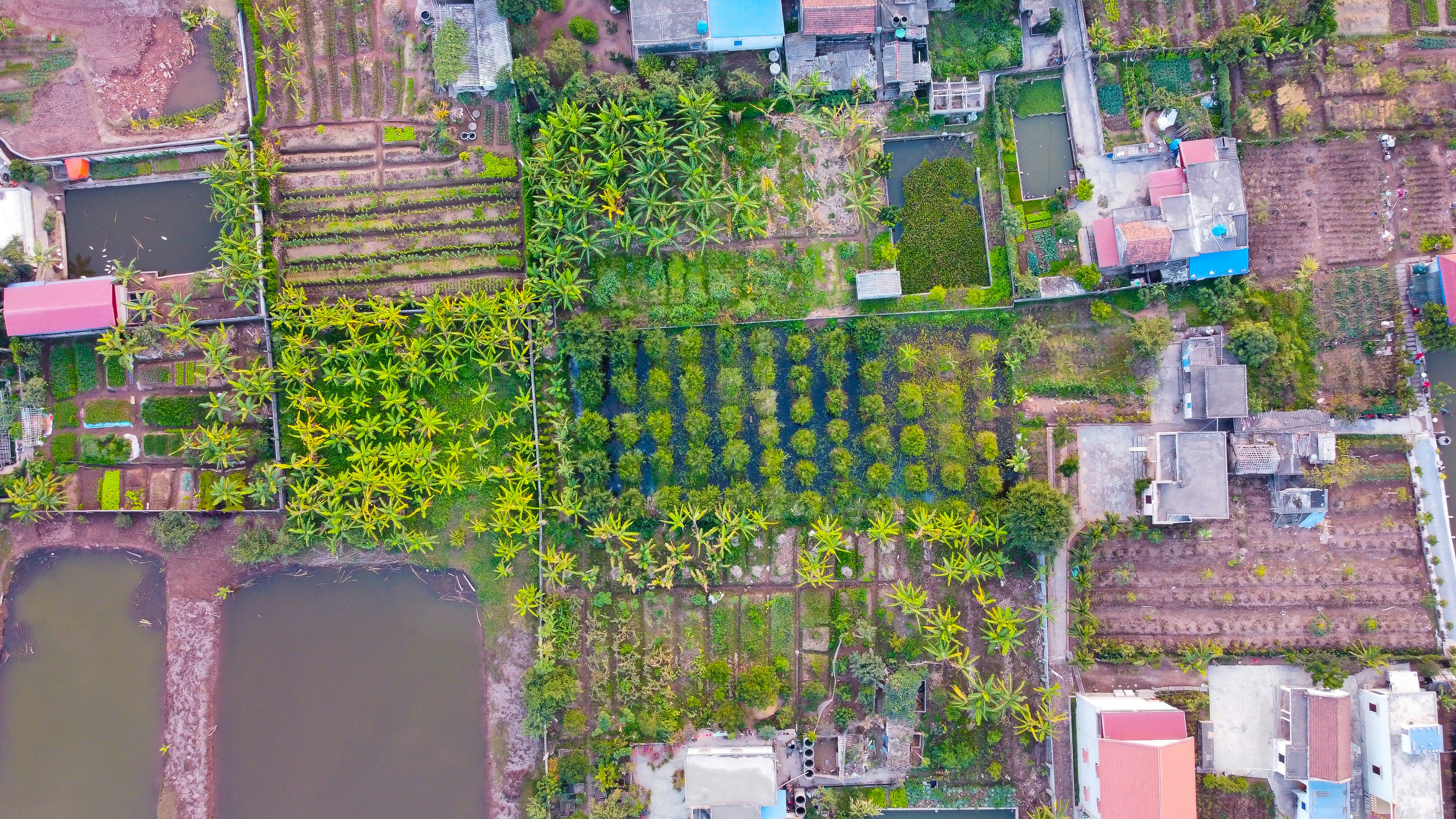 Photo by tinytran0000