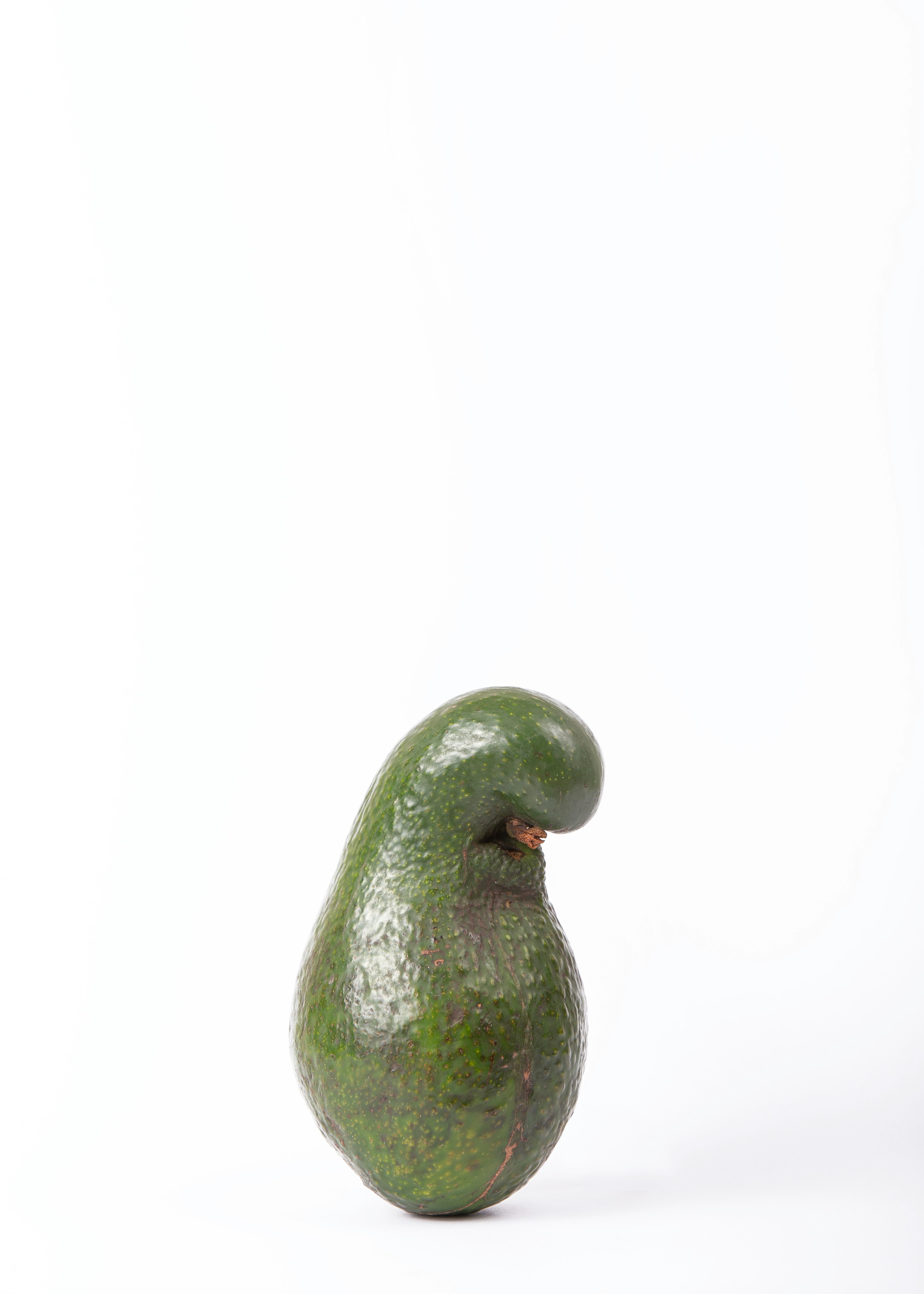 Photo by carlyareeves