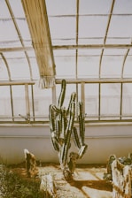A sturdy greenhouse standing resilient in a harsh desert landscape under a bright sun.