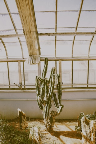 A sturdy greenhouse standing resilient in a harsh desert landscape under a bright sun.