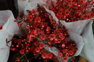 red round fruits on white textile
