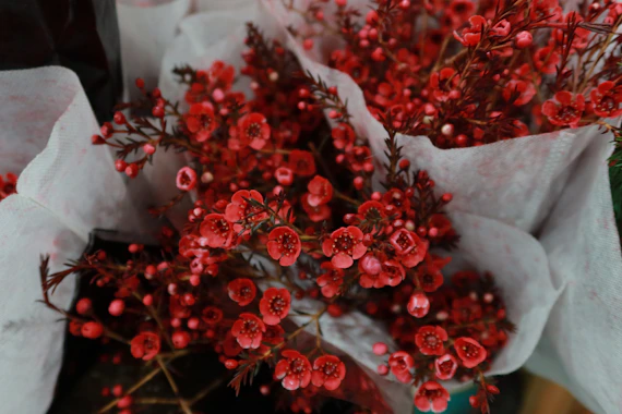 red round fruits on white textile