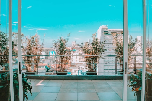 An urban rooftop terrace with potted plants lining the railing, providing a view of adjacent high-rise buildings under a bright blue sky. The area is tiled and features glass doors leading to the terrace.