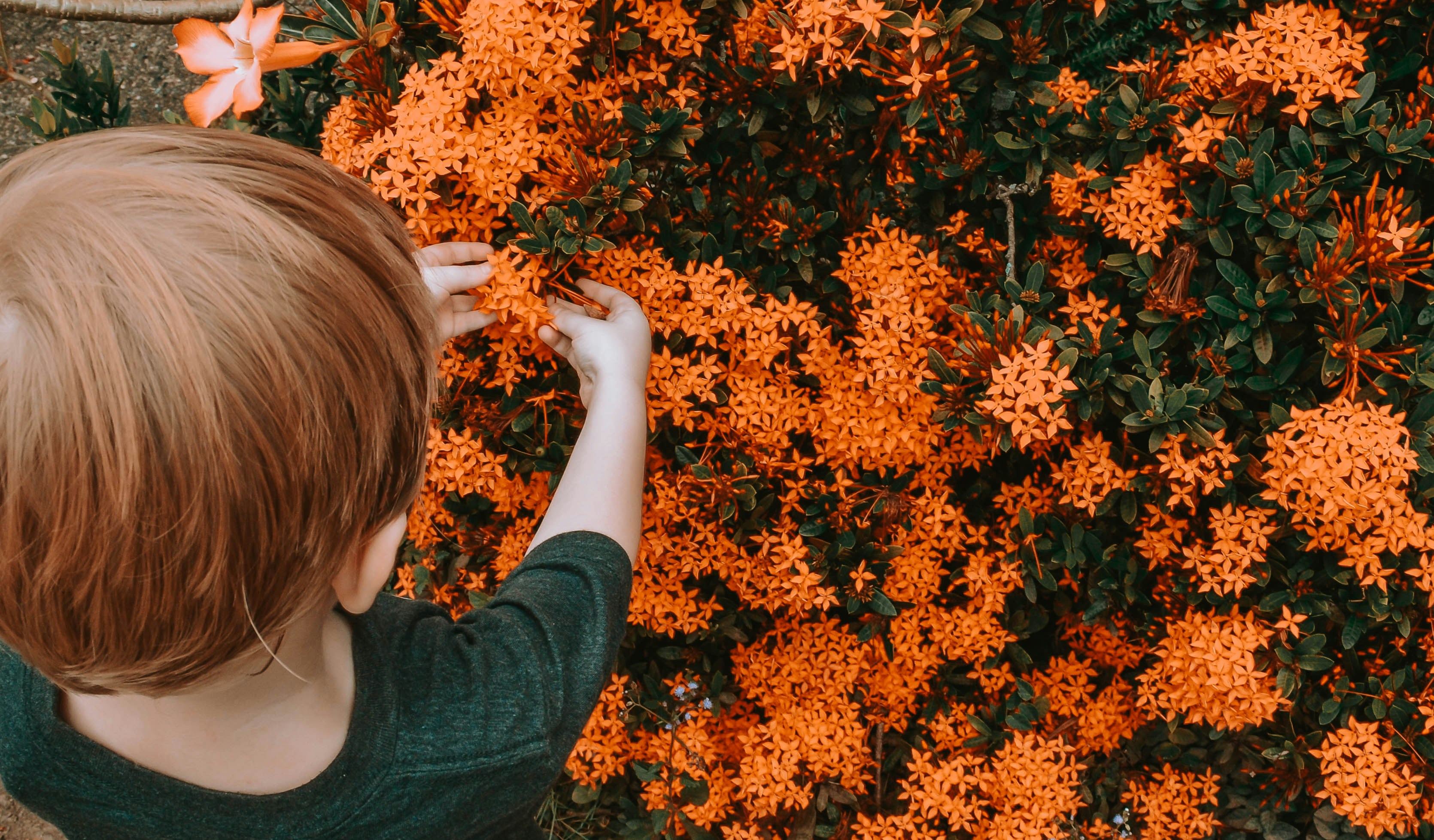 Photo by wanderfleur