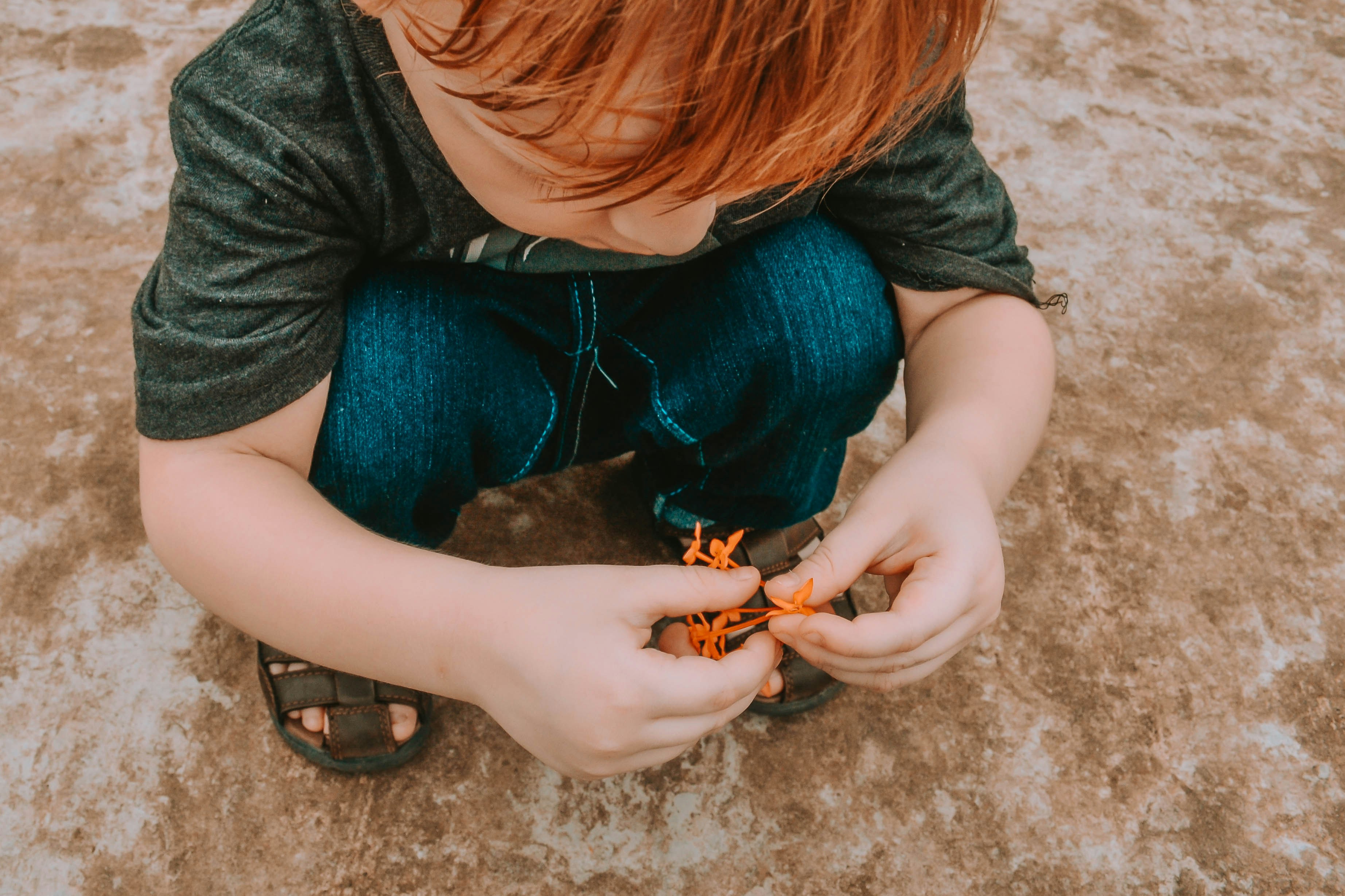 Young curious child looking closely and investigating  small flowers