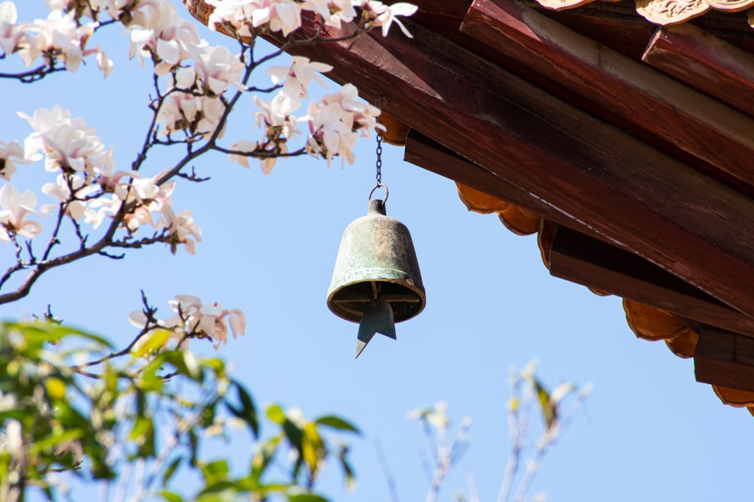 silver bell hanging on brown wooden roof during daytime