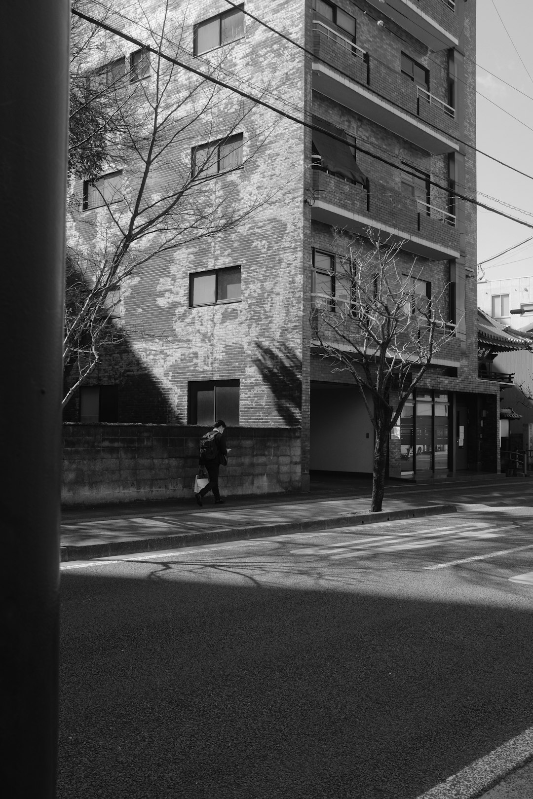 grayscale photo of person walking on sidewalk near bare trees