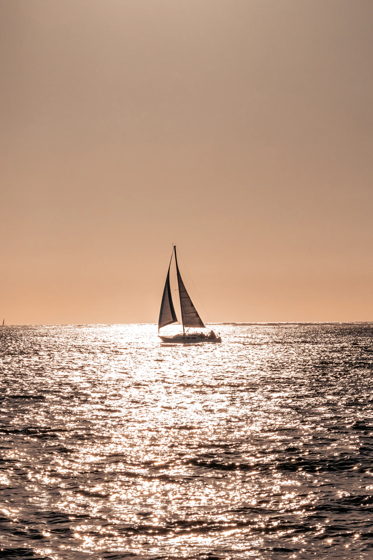 Illustrative sailing boats at sunset