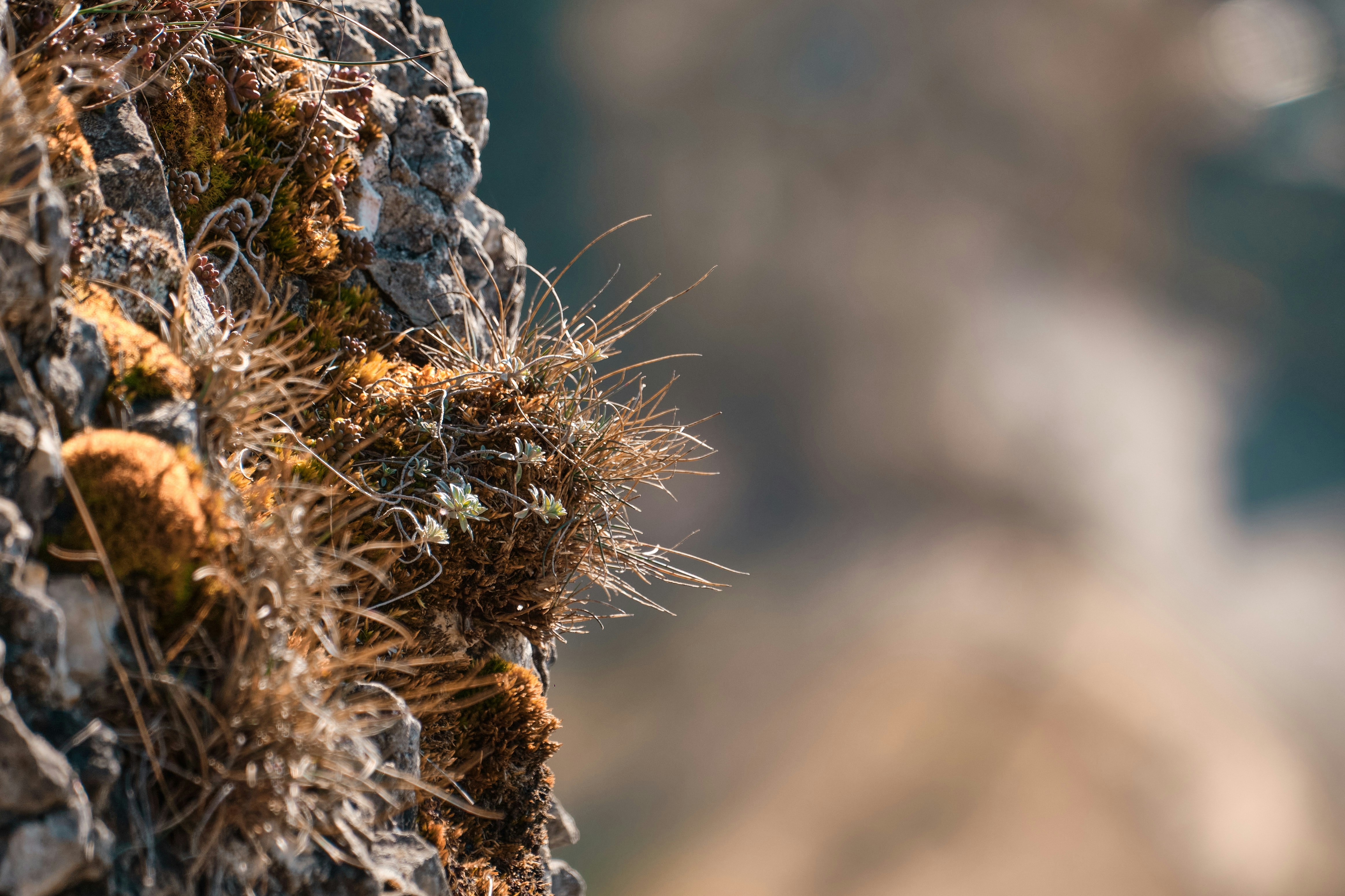 Photo by rolf_schmidbauer