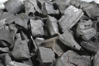 Export-Grade Charcoal and Firewood from Egypt – Chemist Herbs