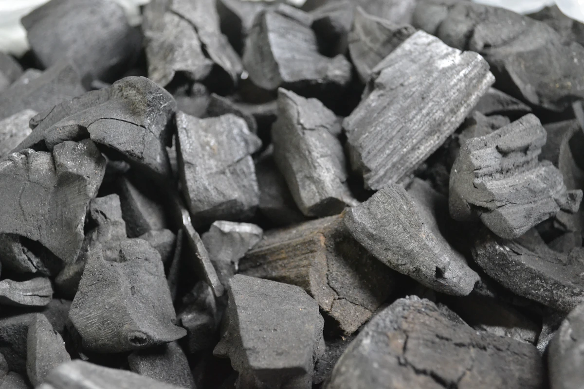 Activated charcoal