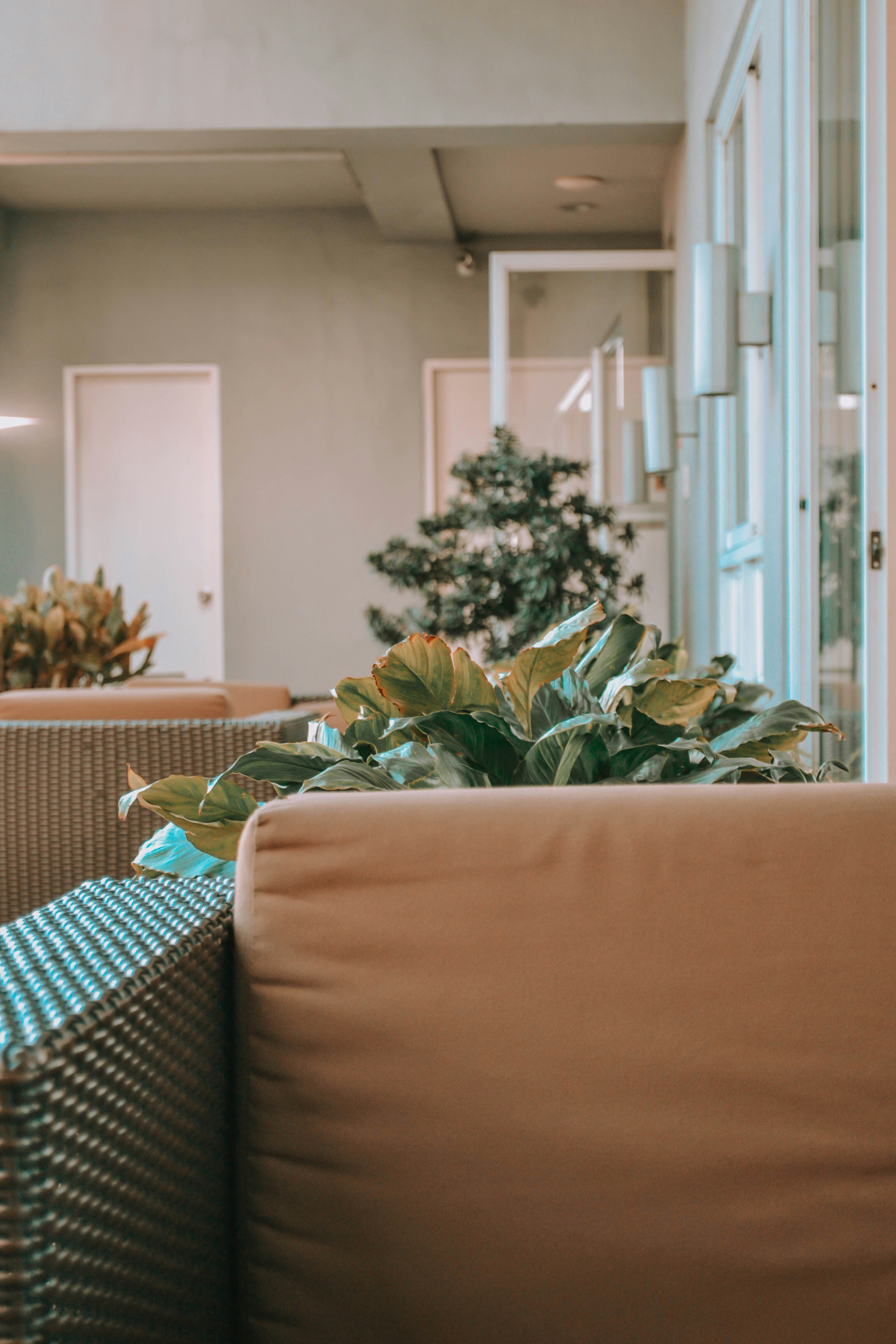 Photo by wanderfleur