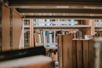 books on brown wooden shelf