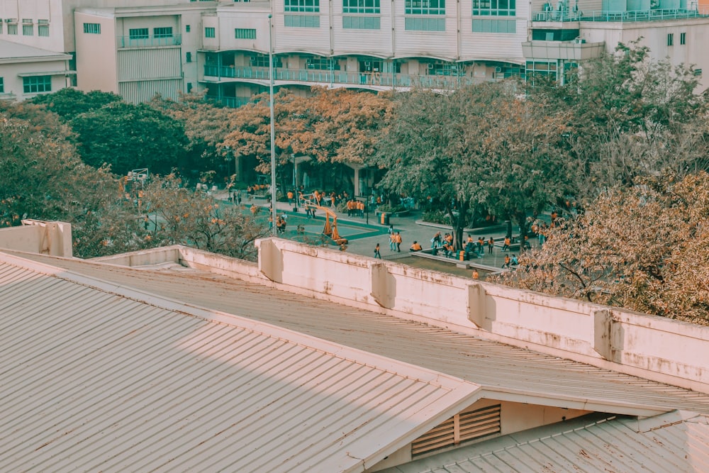 people on a park near a river