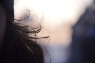 Close-up of shiny, hydrated hair strands reflecting light beautifully