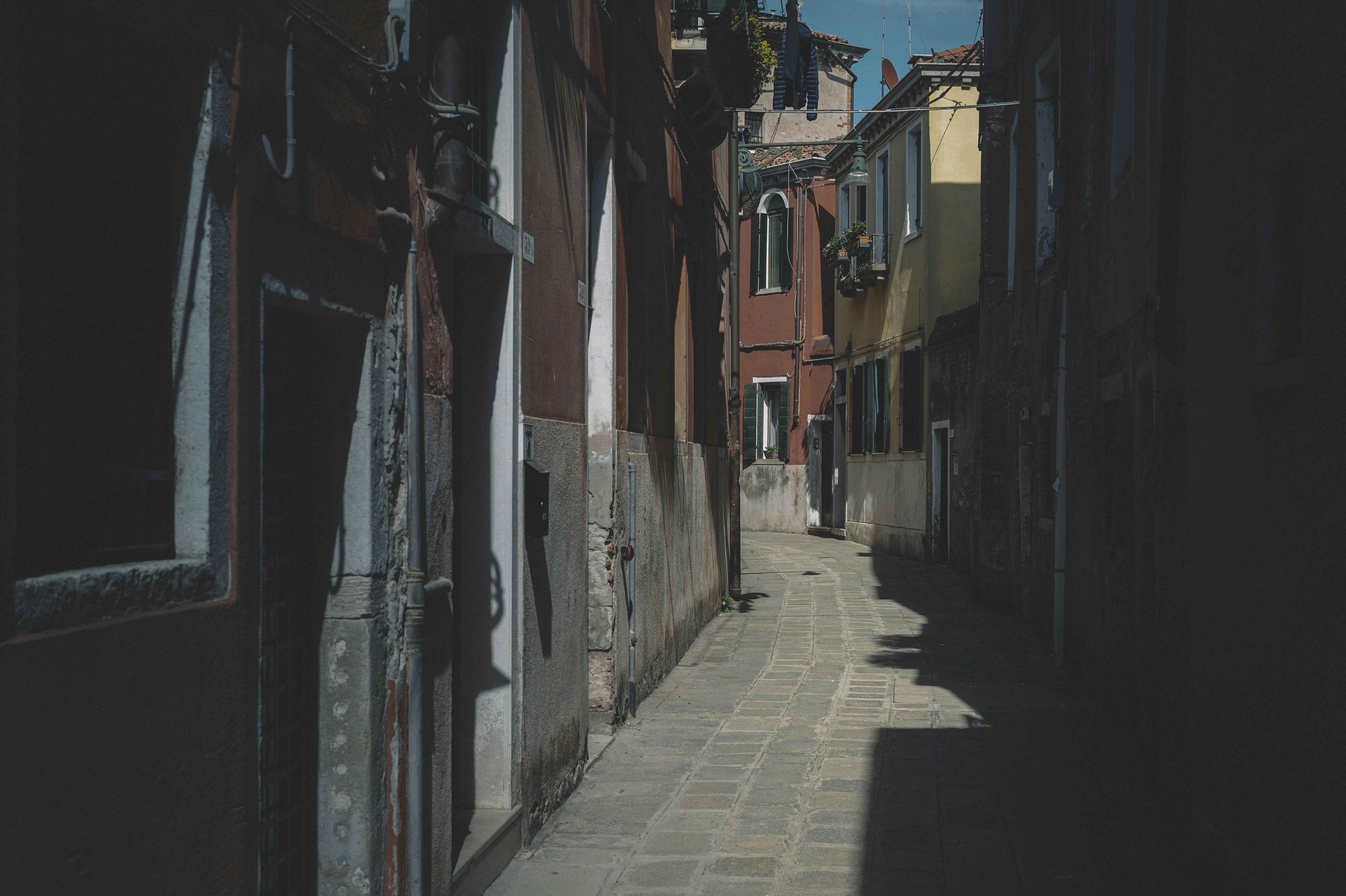 Photo by vonshnauzer