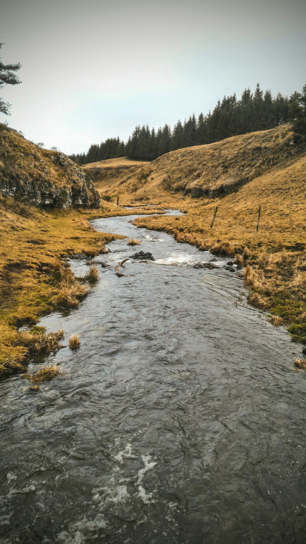 river between green and brown grass and trees during daytime