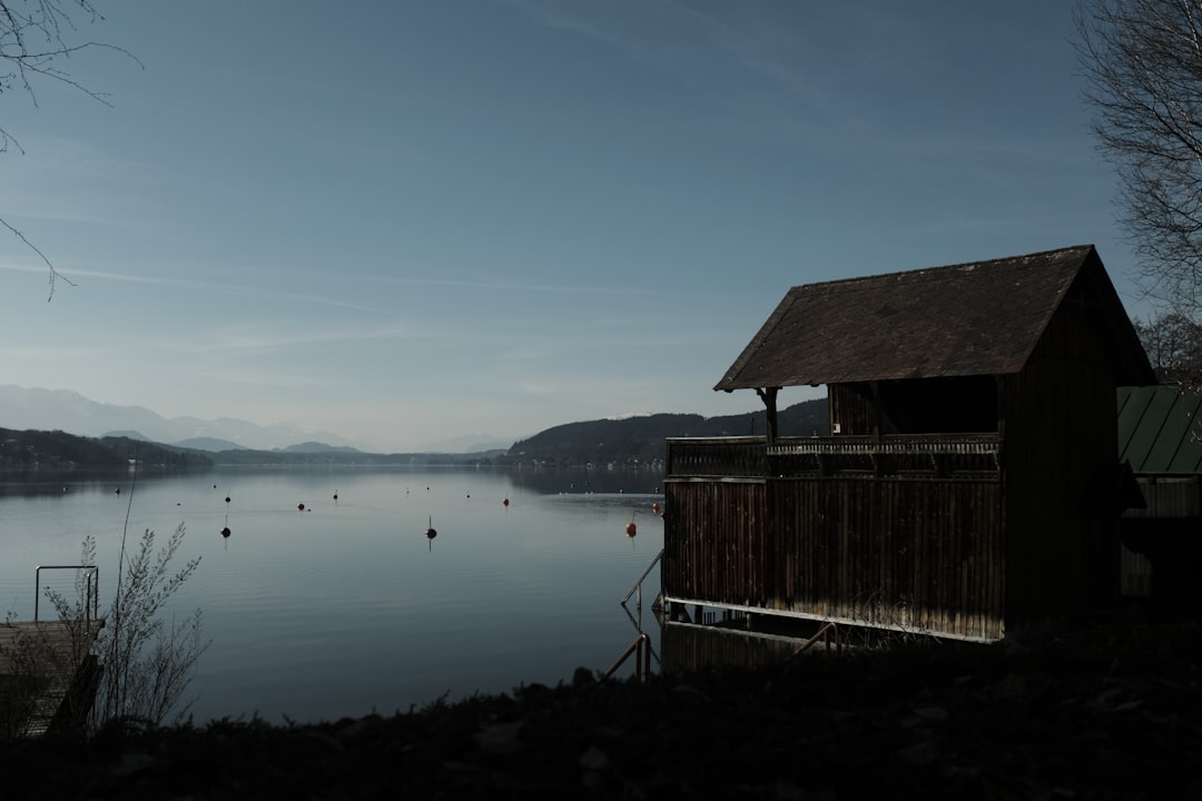 brown wooden house on lake during daytime