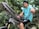 A close-up view of a bicycle chain held by a person in the foreground, with a blurred background of greenery and a bicycle. The chain is metallic and intricate, reflecting the surrounding light.