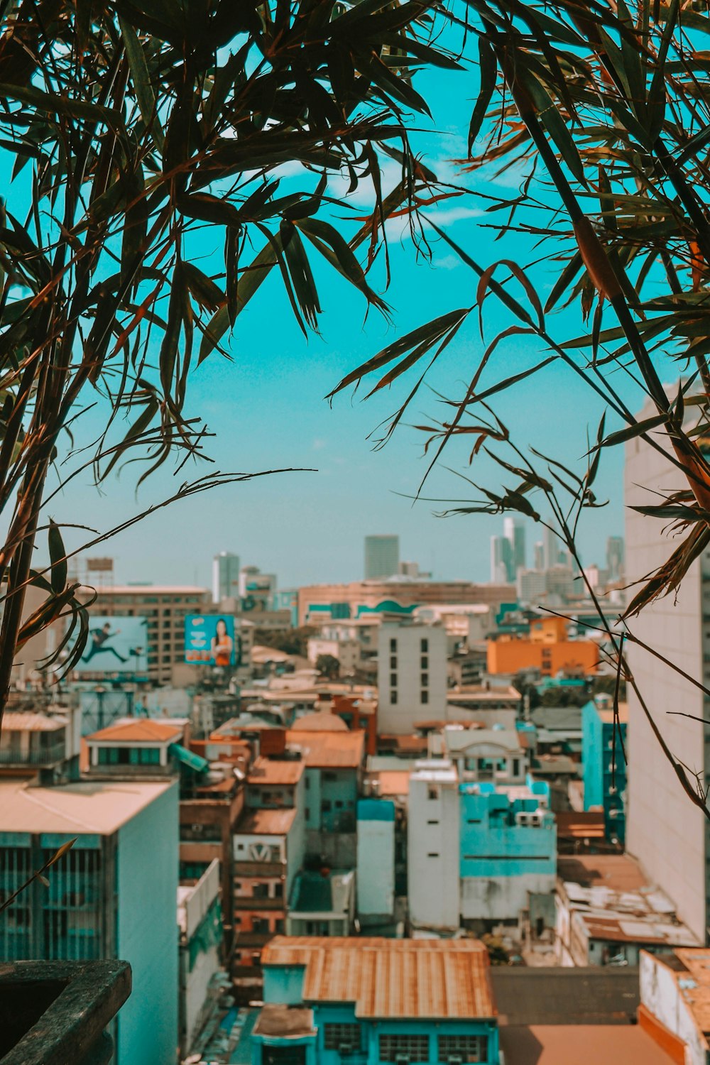 green tree near city buildings during daytime