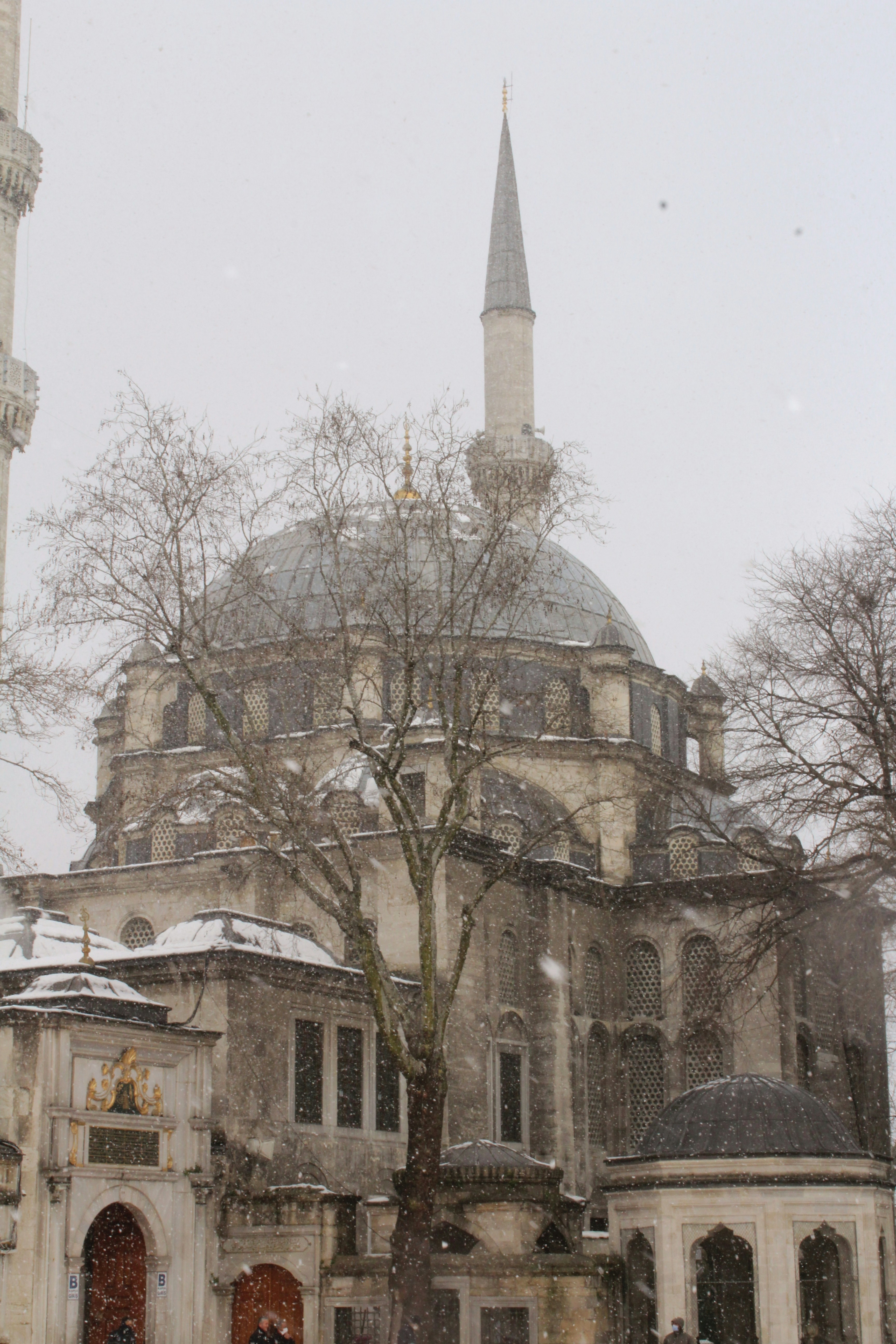 Photo by dilaraserdar
