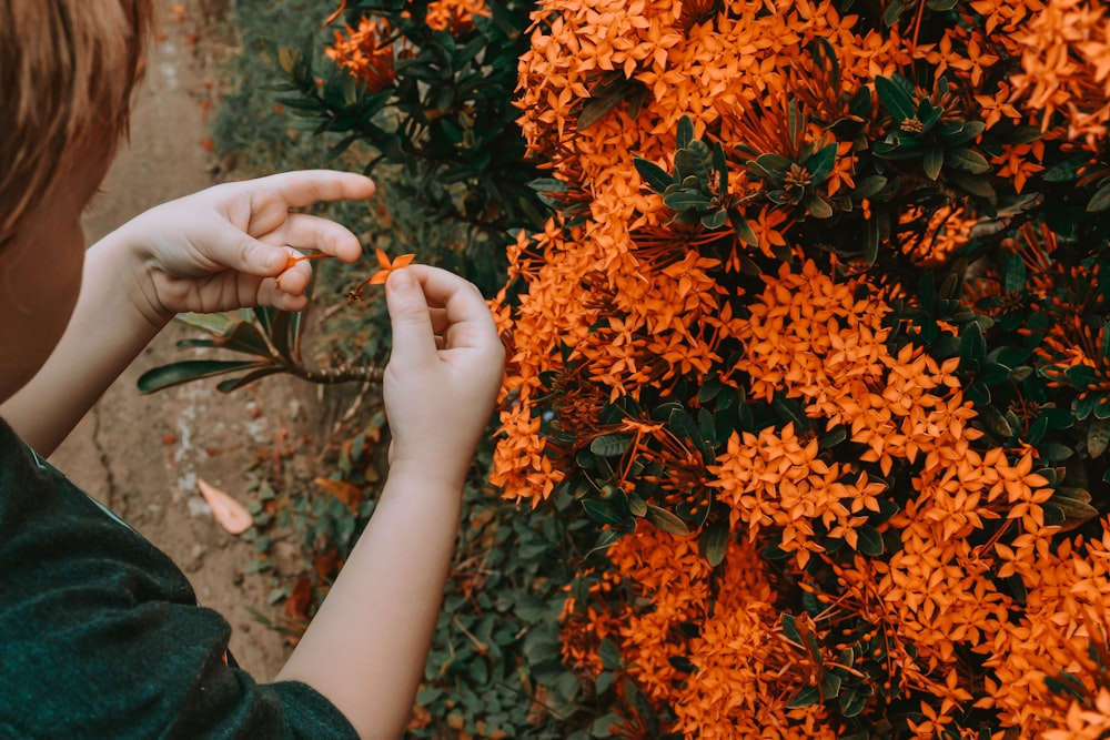 Person, die tagsüber orangefarbene Blüten hält