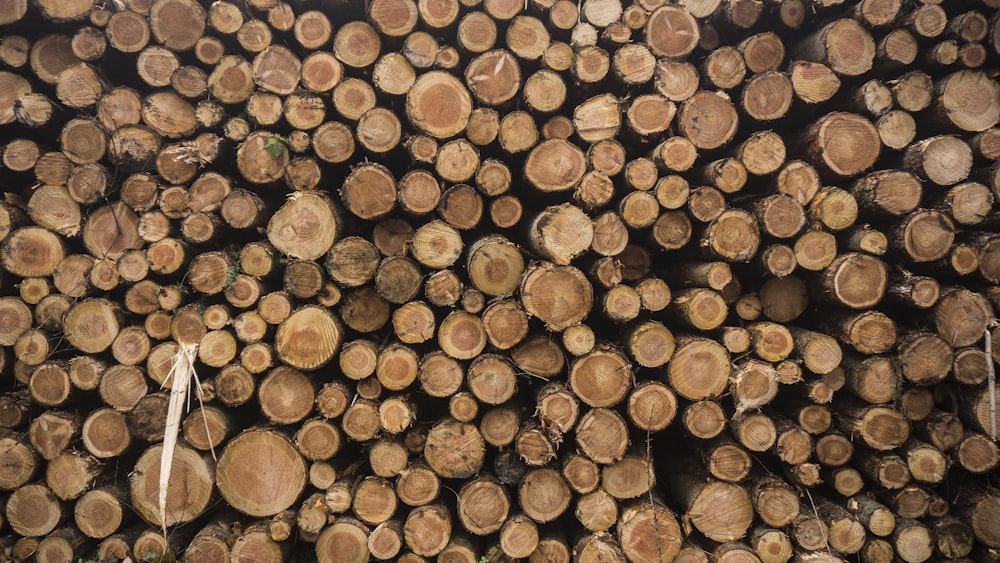 brown and black wood logs