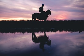 Silhouette of a person riding a horse is reflected in a calm body of water during a dramatic sunset. The sky displays a blend of purple, pink, and orange hues, creating a serene and peaceful atmosphere.