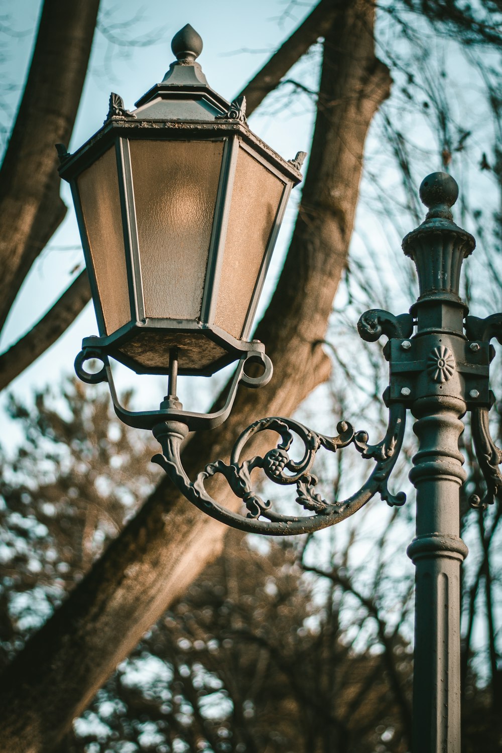 black metal framed lamp post