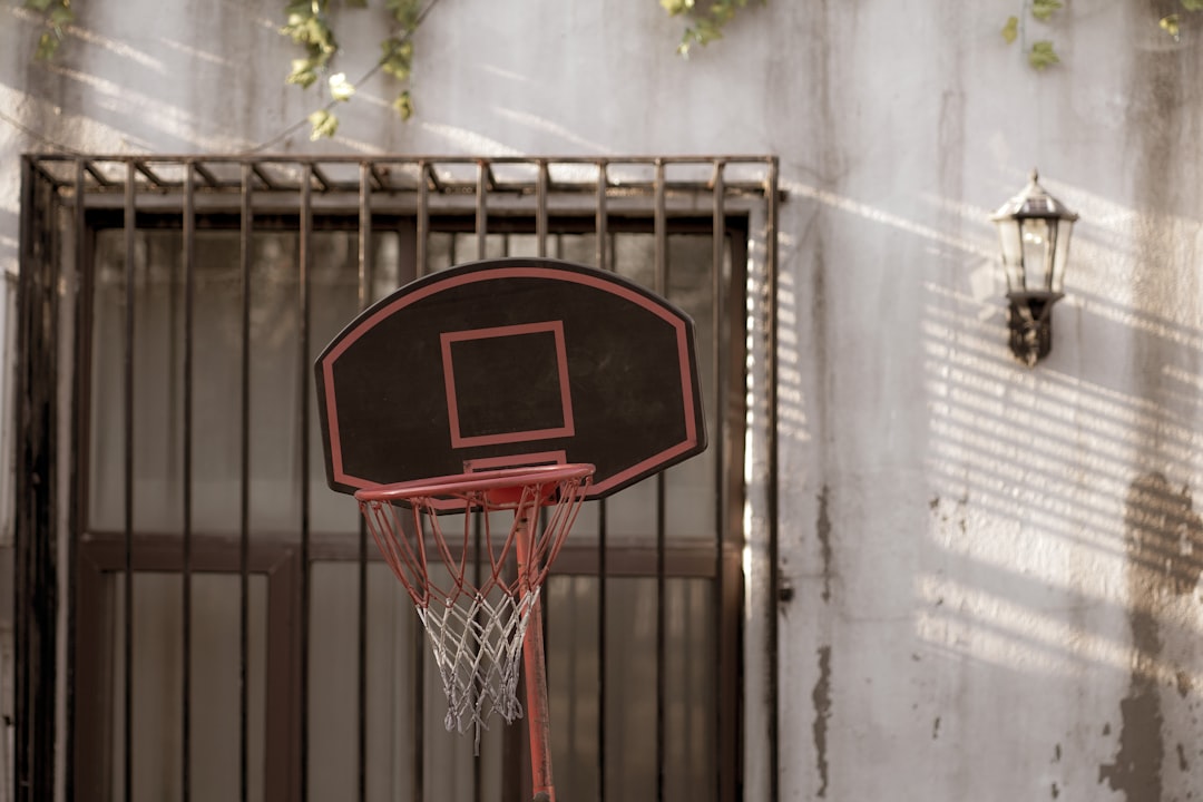 red basketball hoop near green plant during daytime