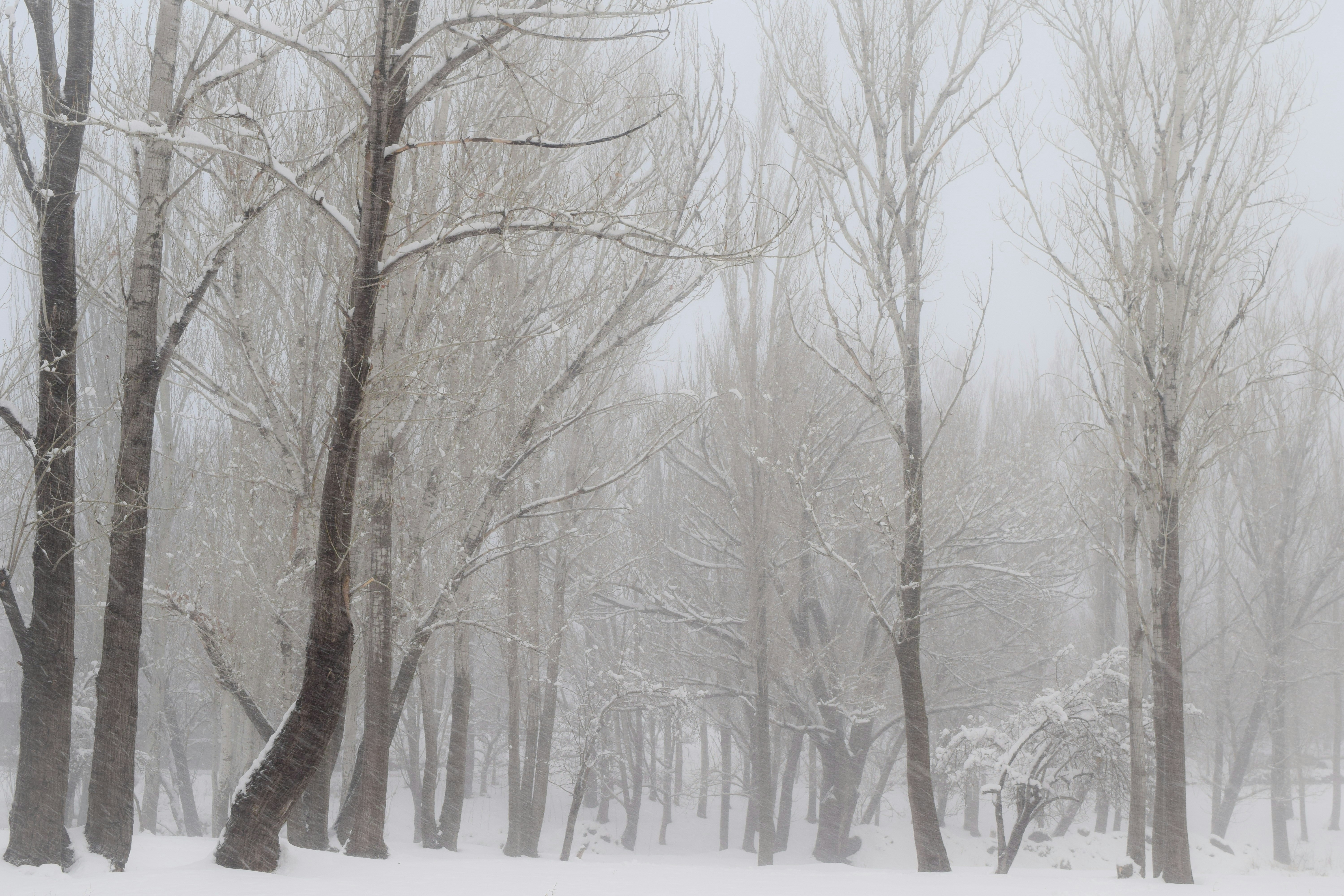 Photo by amirhoseinir