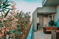 green palm tree near white concrete building during daytime