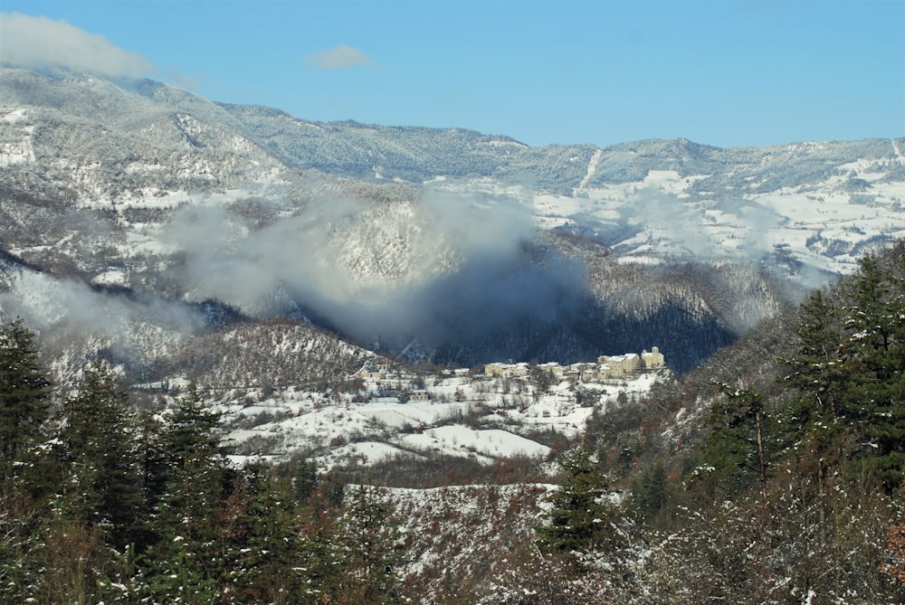 green trees on snow covered mountain during daytime