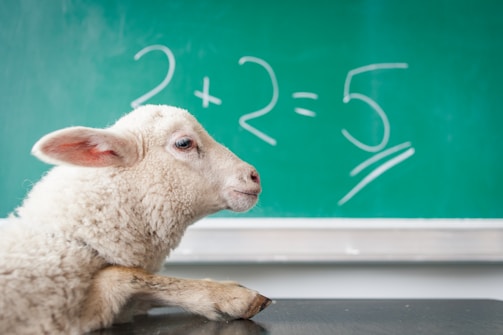 A sheep is resting its head on a surface in front of a chalkboard. The board displays the incorrect equation '2 + 2 = 5'.