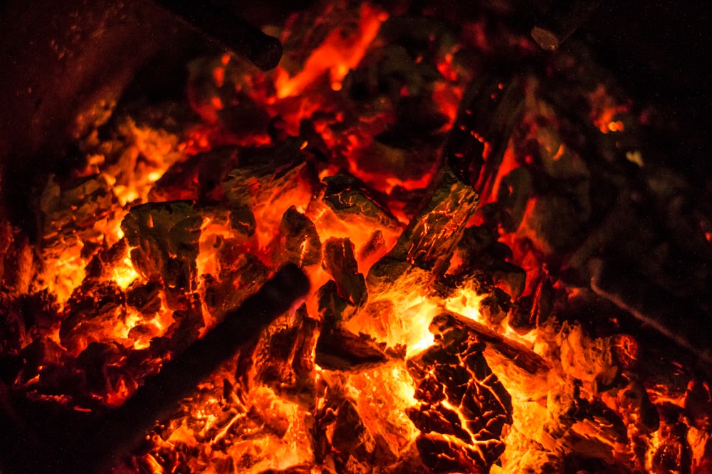 close up photo of burning firewood