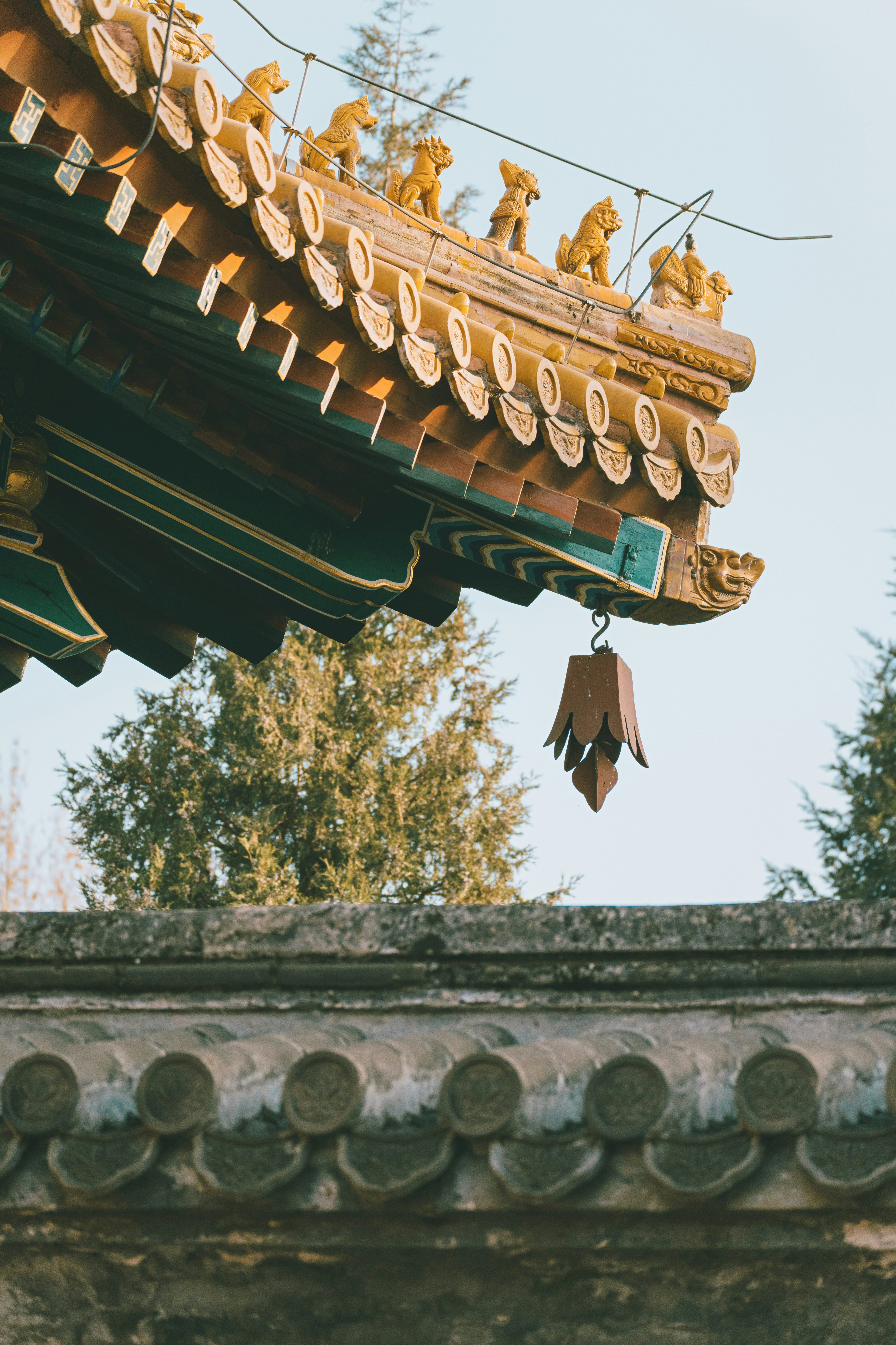Photo by zhangkaiyv