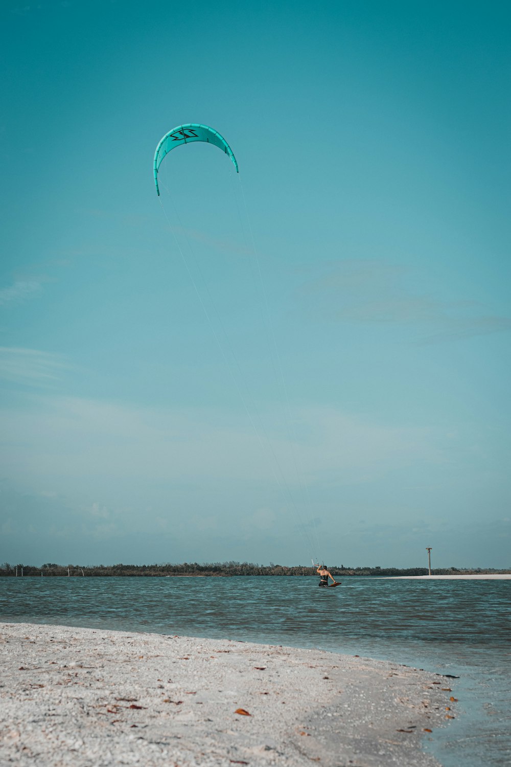 people on beach during daytime