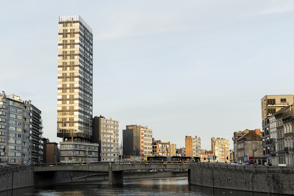 city skyline under white sky during daytime