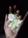 Gentle hands holding white flowers, representing care and compassion.