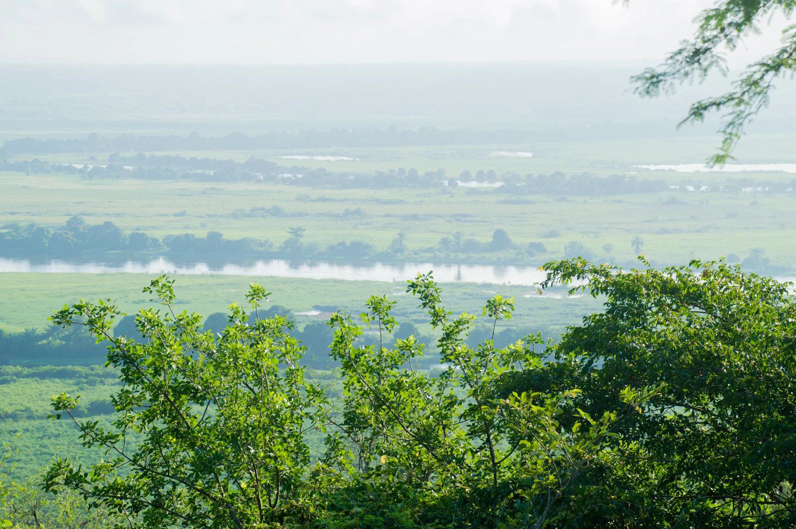Landscape and water in Kissama National Park, Angola