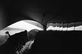 A black and white architectural photo with curved, futuristic elements. The space features geometric patterns and reflections, with a view of water and land through an opening.