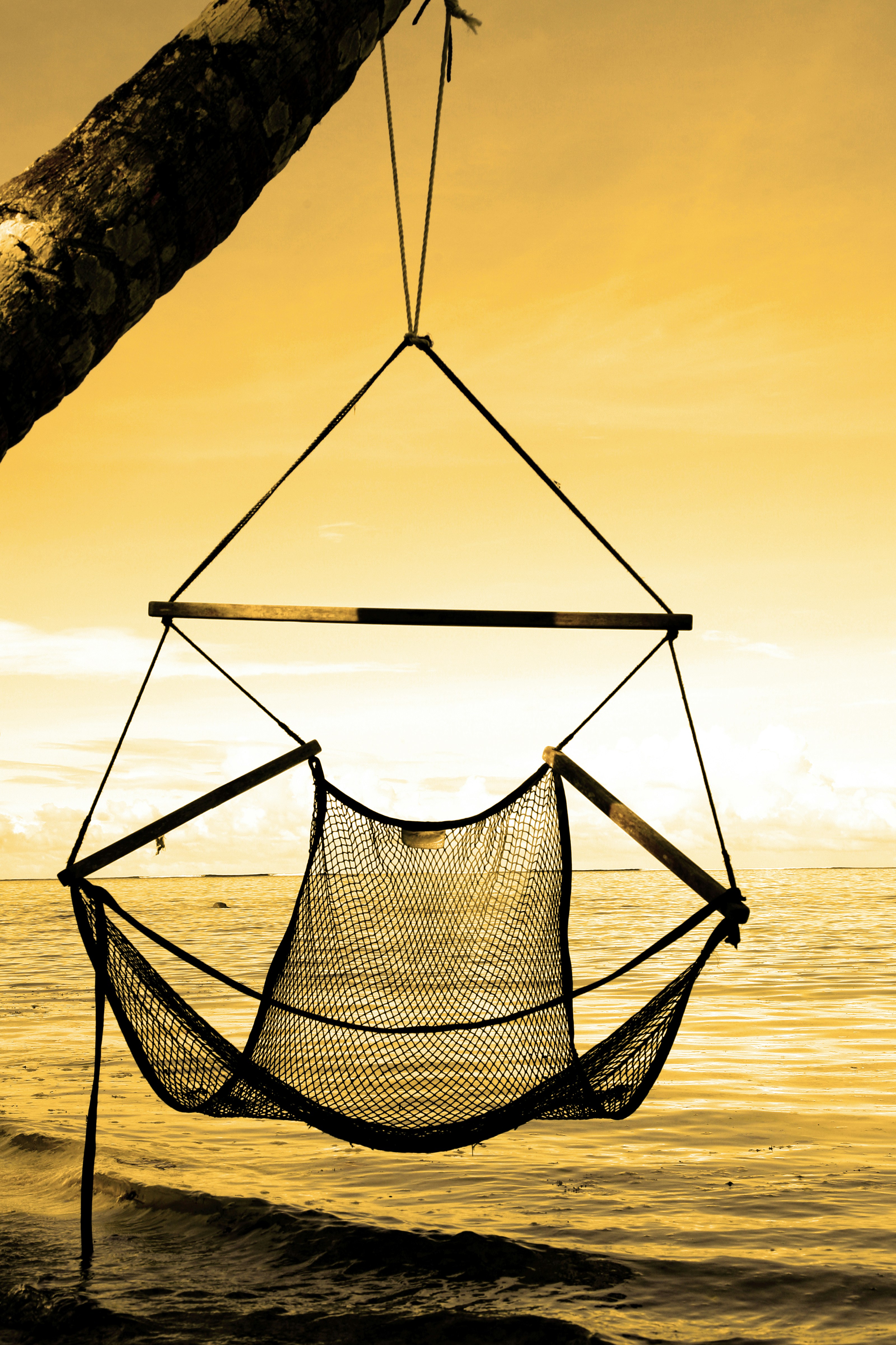 Hammock Chair
