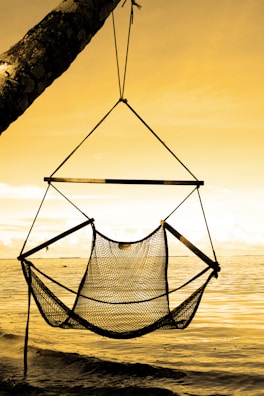 A hammock chair gently swaying under a tree.